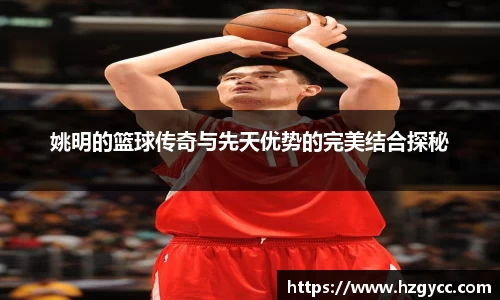 完美体育