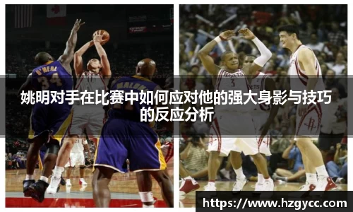 完美体育登录入口