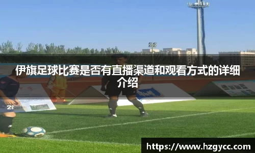 365完美体育官网
